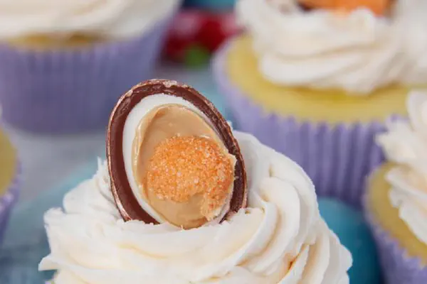 Crunchy Cookie Butter Spread