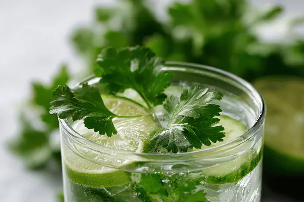 Celery Apple Shakeup