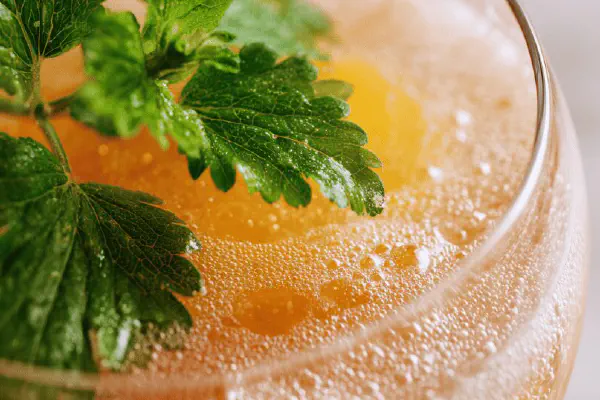 Hearty Beef Gravy Twist