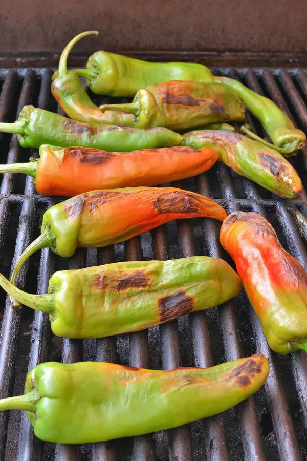 Roasted Hatch Chile Twist