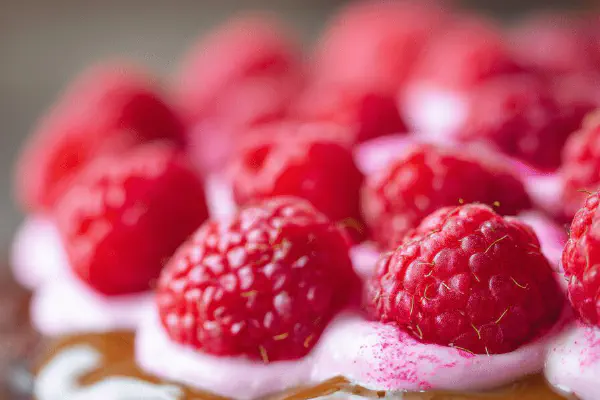 Chunky Chocolate Chip Biscuits